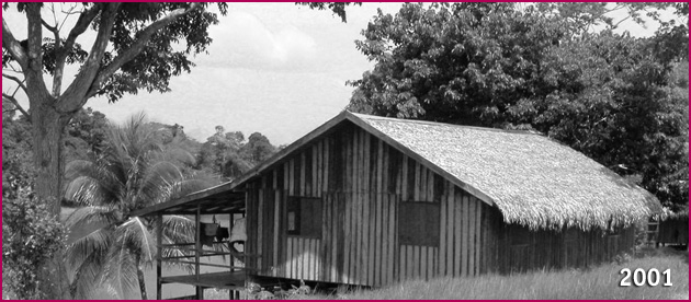 Amazonas Lodge Boca do Juma 2001